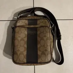 Item thumbnail for item 8b4a211e-04a1-41c1-a5d3-d83fa88e82fa