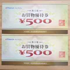 ヤマダ電機　株主優待券　1000円分