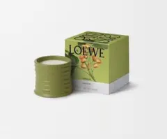 2026年最新】LOEWE キャンドルの人気アイテム - メルカリ