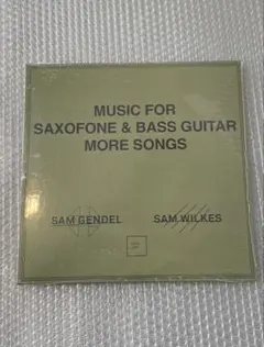新品 Sam Gendel & Sam Wilkes アナログ LP レコード - メルカリ