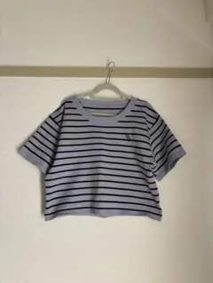 ストライプ クロップドTシャツ 半袖のサムネイル