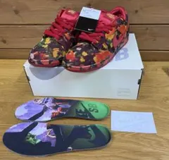 The Wizard of Oz × Nike SB 