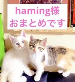 haming様 リクエスト 2点 まとめ商品