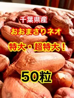 2026年最新】おおまさり 種の人気アイテム - メルカリ