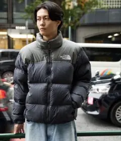 【THE NORTH FACE】ヌプシダウン サイズM 新色