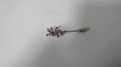 Item thumbnail for item eb438f12-d373-42c1-97ff-6fe64146165f