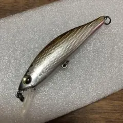 2026年最新】クリークワカサギの人気アイテム - メルカリ