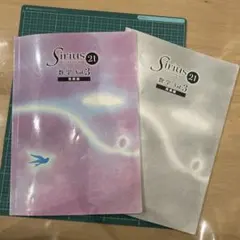 中3 シリウス21 数学vol.3 発展編