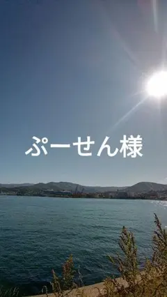 ぷーせん様