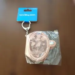 東京ディズニーリゾート　スーベニアメダルミニファイル