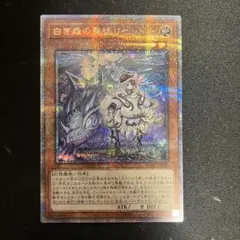 Item thumbnail for item 206e73b7-007c-4b02-988e-d87a1121fc51