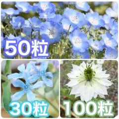 あいす♪様 リクエスト 2点 まとめ商品