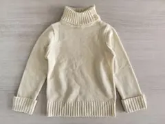 タートルネック110