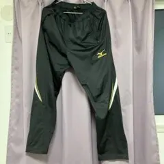 Item thumbnail for item d312175b-5353-4ae0-8049-ce5bb9c49c80