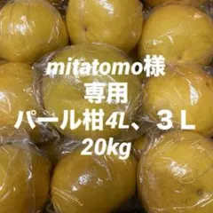 mitatomo様専用パール柑4L、３Ｌ20kg