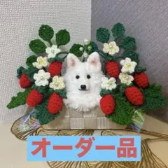 Item thumbnail for item 01603b4a-c6ff-48de-b39f-1246a47b6af5