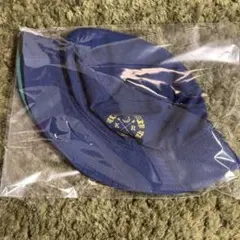 Item thumbnail for item 2133a9a3-7815-46b1-a099-f2648bf7ae32