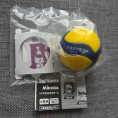 ハイキュー‼︎×MIKASA コラボBOX付きボール 白鳥沢学園高校