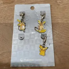 ポケモン　メタルチャーム　ピカチュウ　ライチュウ　アローラライチュウ　3種セット