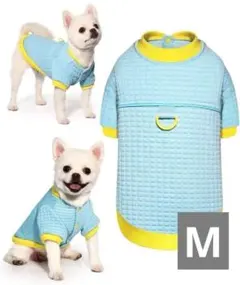 Item thumbnail for item c7539356-83e1-4389-a6b0-d5ba7ebdec1c