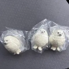 す*ず様 アザラシまとめ売り