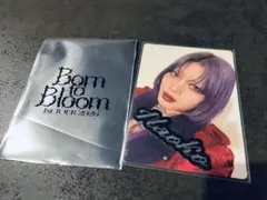 HANA トレカ ラントレ Born to Bloom NAOKOステッカー付き