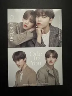 エスクプス スンチョル ペアトレカ バーノン ディノ セブチ SEVENTEEN