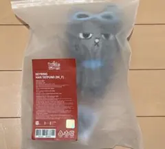 BOYNEXTDOOR テサン ハンテップン キーリング