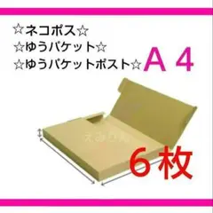 Item thumbnail for item 51498f13-9aab-44ea-baad-1dc8884e3d19