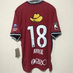 Item thumbnail for item 83868170-dc44-4e87-a0a2-31770ea92f71