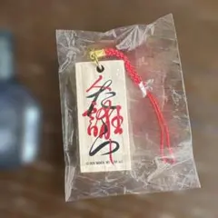 2026年最新】桑田佳祐 キーホルダーの人気アイテム - メルカリ