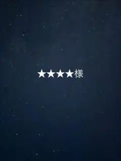専用出品