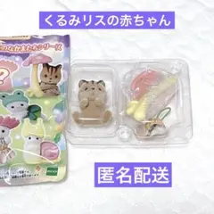 シルバニア 赤ちゃん妖精 森のなかまたちシリーズ　くるみリスの赤ちゃん