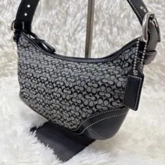 【美品】COACH コーチ シグネチャー ワンショルダーバッグ ブラック