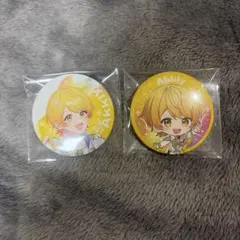 すとふぇす 缶バッジ あっきぃ 2個セット