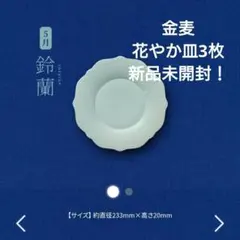 2026年最新】あいあい皿 金麦の人気アイテム - メルカリ