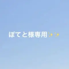 ぽてと様専用