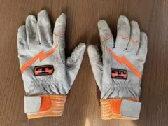 Item thumbnail for item aa289cb9-d50a-4fe5-b833-08054b33a246