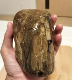 珪化木　水石　鑑賞用 Yahoo!オークション - SSSランク 珪化木 3.4kg 水石 鑑賞石 1500