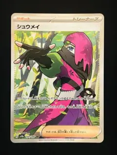 シュウメイ SR SV8a テラスタルフェスex 191/187