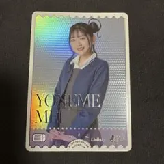 ぐれいもん様 リクエスト 2点 まとめ商品