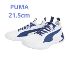 Item thumbnail for item 901bd7b0-35b4-4c2a-adee-b4ffa836e92d