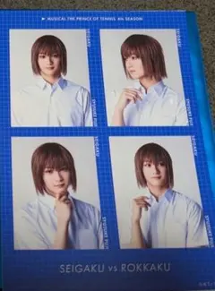 テニスの王子様　ミュージカル　4thシーズン　関東立海　ブロマイド　不二周助