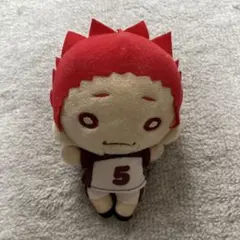 2025年最新】天童覚 にとたん ぬいぐるみの人気アイテム - メルカリ