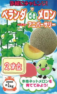 ゆったん様 リクエスト 2点 まとめ商品