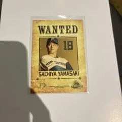 Item thumbnail for item 0f7065eb-a9a1-4562-aa19-57a5210417c1