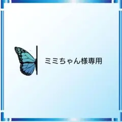 ミミちゃん様 リクエスト 2点 まとめ商品
