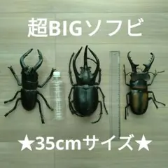カブトムシ・クワガタ BIGソフビ3点セット