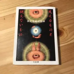 見えるものと見えないもの 横尾忠則対話録
