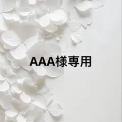 AAA様 リクエスト 2点 まとめ商品